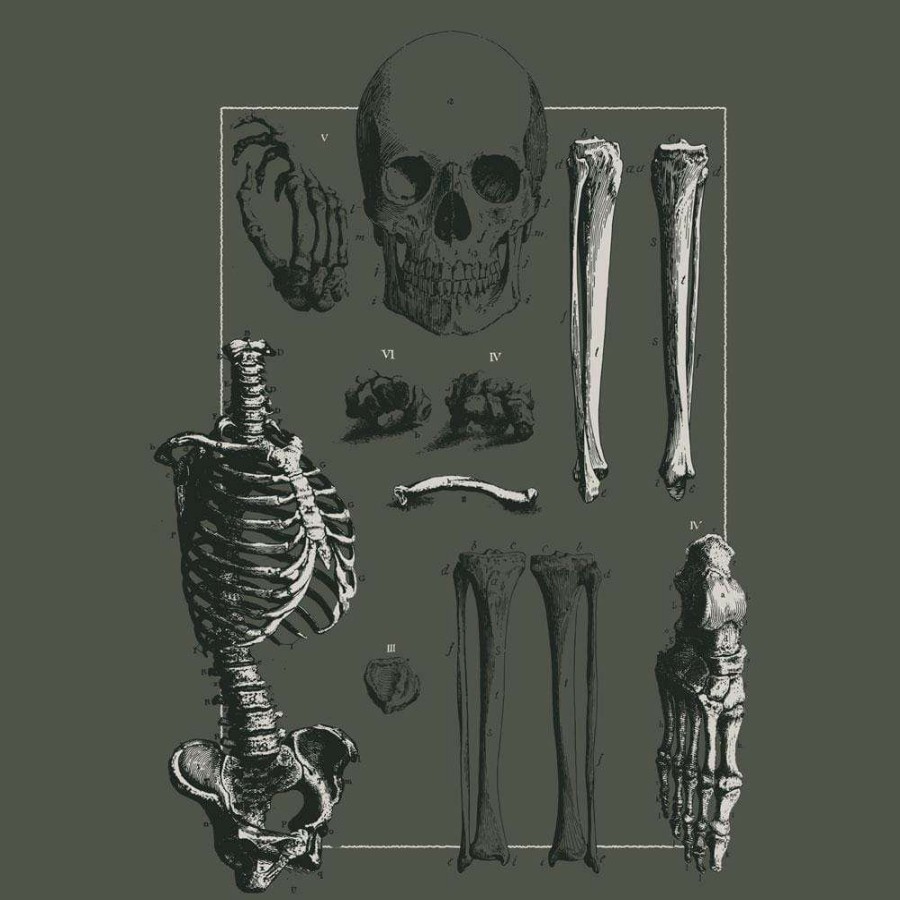 Adults * | Ram Human Bones Unisex Adults T-Shirt Dark Green