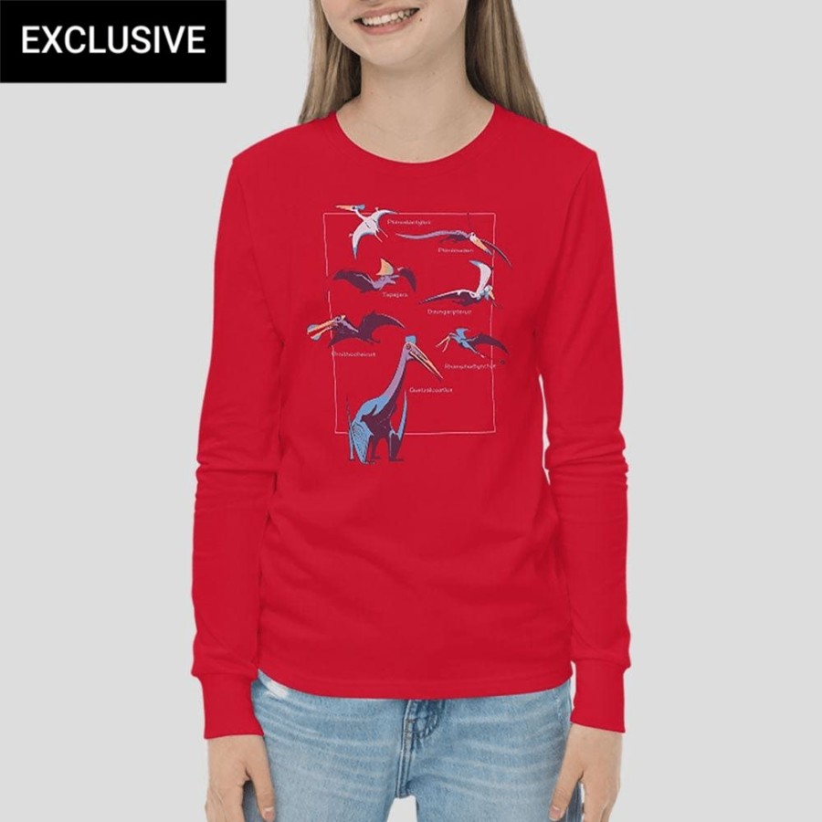 Kids & Babies * | Svaha Apparel T-Shirts & Hoodies Pterosaurs Custom Long Sleeve Kids T-Shirt