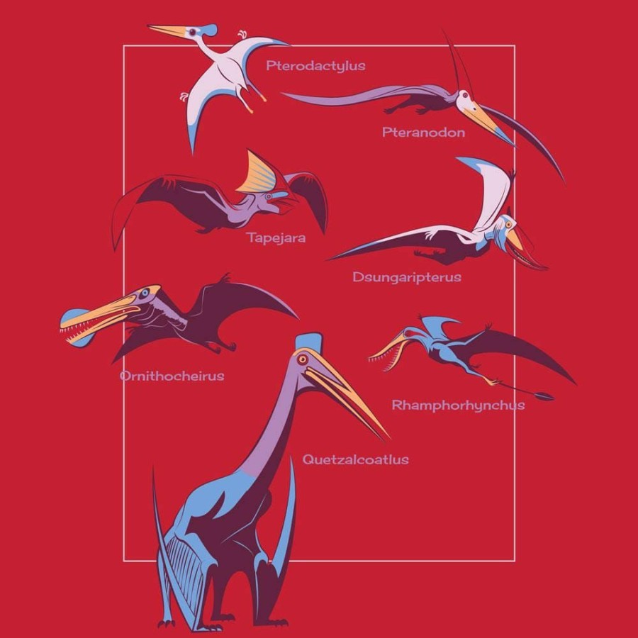 Kids & Babies * | Svaha Apparel T-Shirts & Hoodies Pterosaurs Custom Long Sleeve Kids T-Shirt