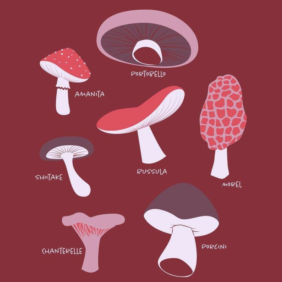 Adults * | Stretch Garments Mushrooms Unisex Adults T-Shirt Burgundy