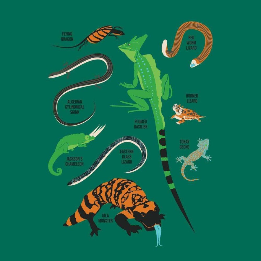 Adults * | Ram Lizards Unisex Adults T-Shirt [Final Sale] Forest Green