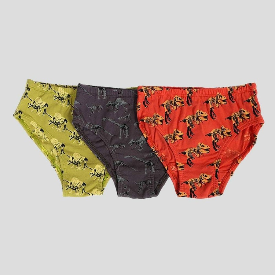 Kids & Babies * | Stretch Garments Dinosaur Fossils Kids Underwear [Final Sale]