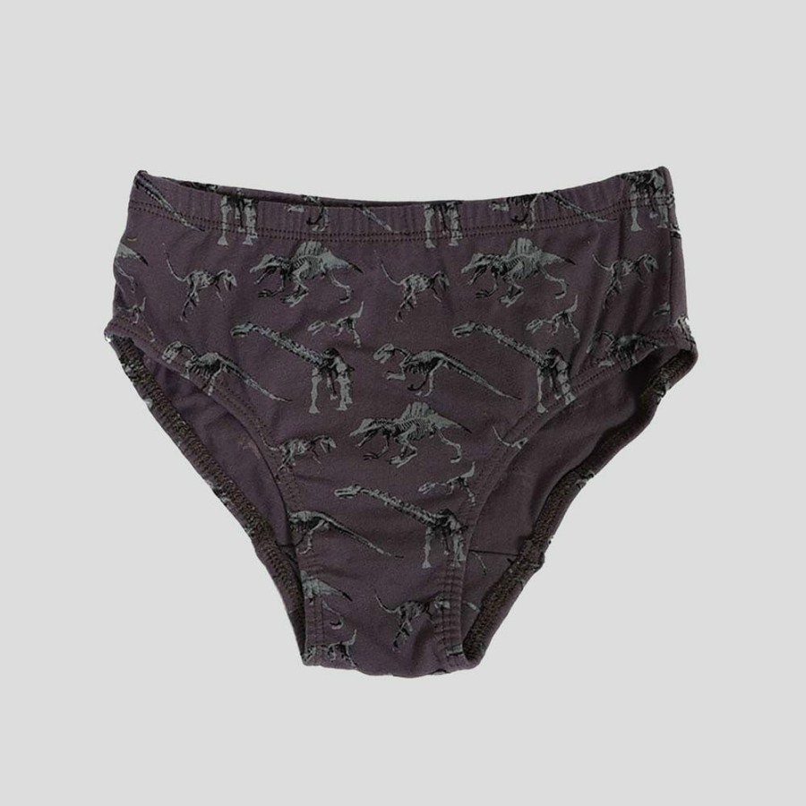 Kids & Babies * | Stretch Garments Dinosaur Fossils Kids Underwear [Final Sale]