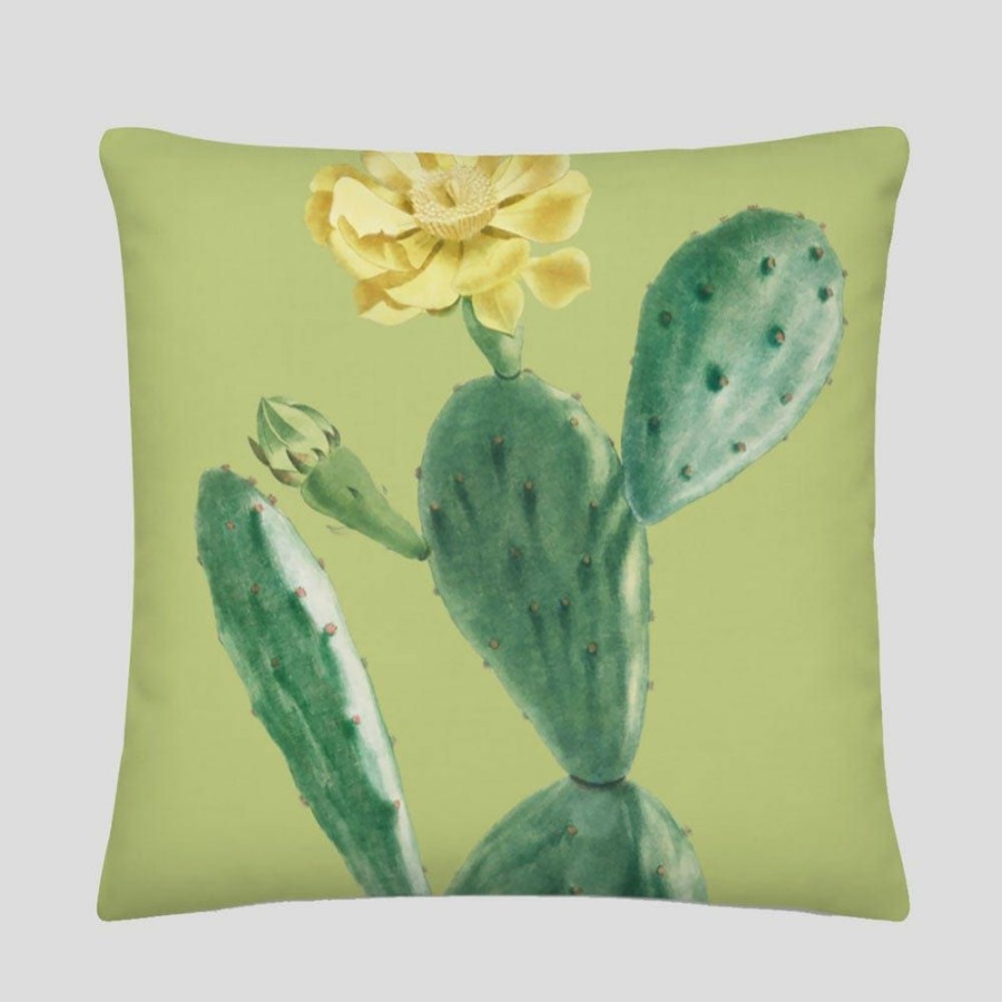 Accessories * | Svaha Apparel Cactus Plants Cushion Covers Set Accessories