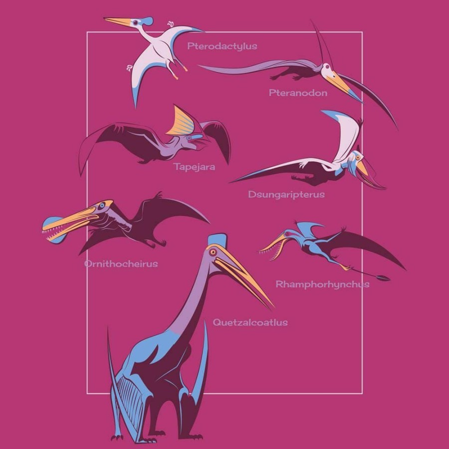 Kids & Babies * | Svaha Apparel Pterosaurs Custom Kids T-Shirt