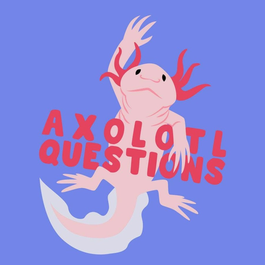 Kids & Babies * | Svaha Apparel Axolotl Questions Custom Kids T-Shirt T-Shirts & Hoodies