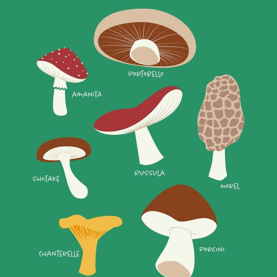 Kids & Babies * | Svaha Apparel Matching Family Sets Mushrooms Custom Kids T-Shirt